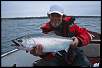 Local angler and British Columbia salmon guide Reid Cameron enjoys the return of the Chinooks to Owen Sound Bay last weekend.  Like hundreds of other anglers, Cameron and his angling buddies enjoyed excellent catches of spring salmon which appeared in the bay to feed on smelt.